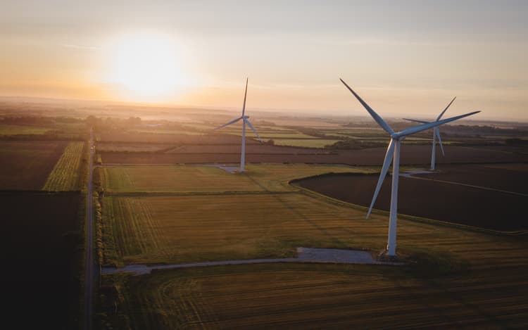 Wind turbines lit by the sun low in the sky