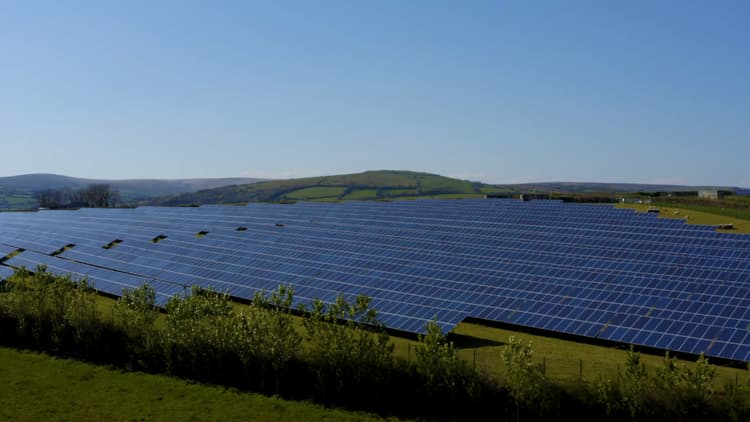 A field full of solar panels surrounded by hedgerows