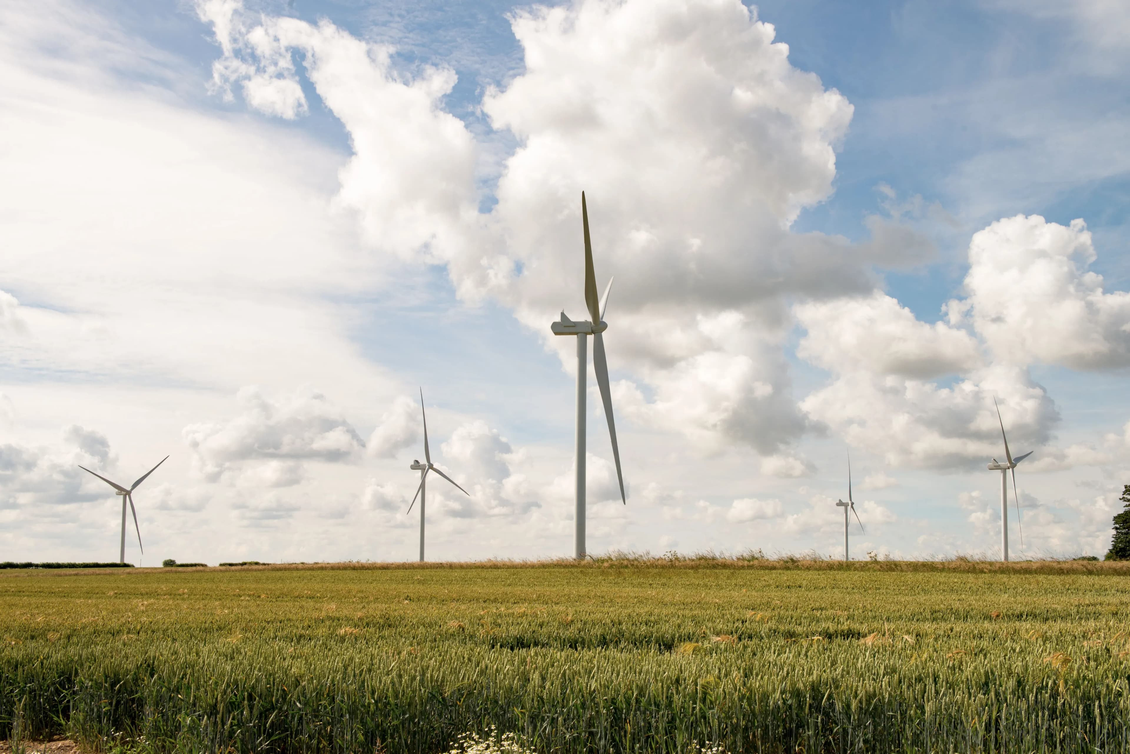 A wind farm amongst crops